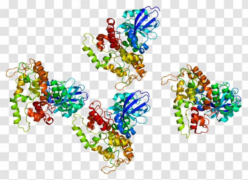 Protein Kinase A LRBA Deficiency Lipid-anchored A-kinase-anchoring - Tree Transparent PNG