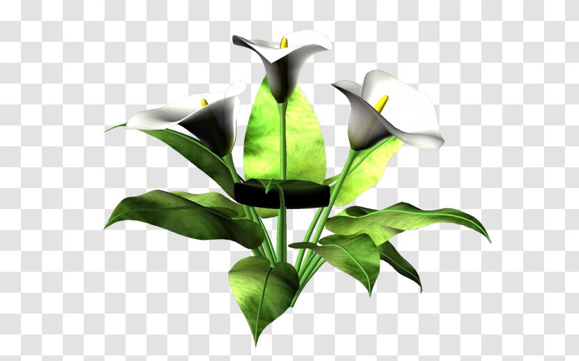 Cut Flowers Flowerpot Plant Stem Leaf - Flower Transparent PNG