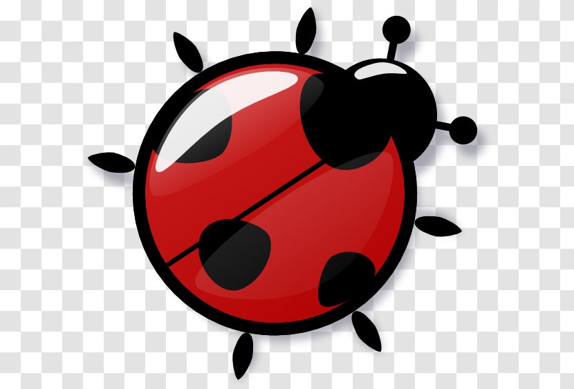 Ladybird Cockroach Clip Art - Spider - Icon Ladybug Transparent Transparent PNG