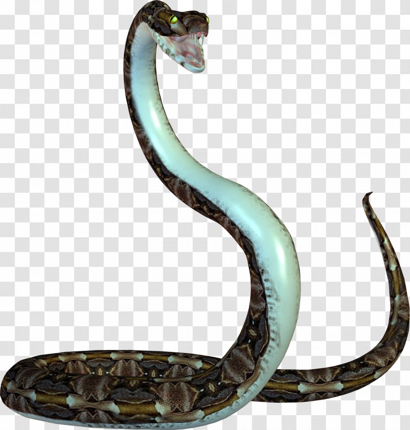 Snake Reptile Desktop Wallpaper - Mamba Transparent PNG