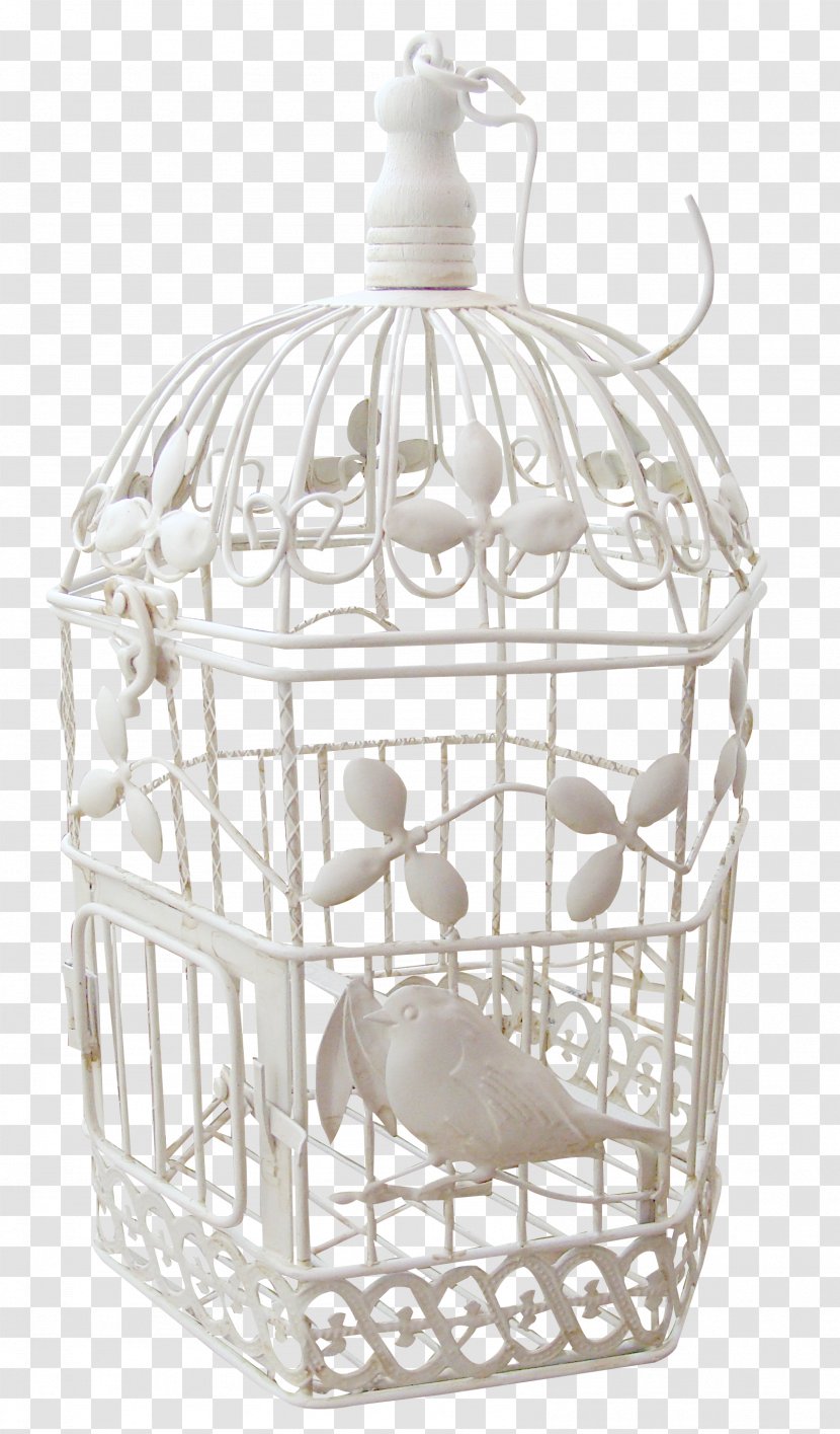 Bird - Birdcage - Photofiltre Transparent PNG