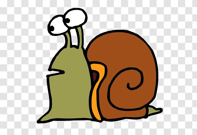 Snail Download Clip Art - Orthogastropoda - Snails Transparent PNG