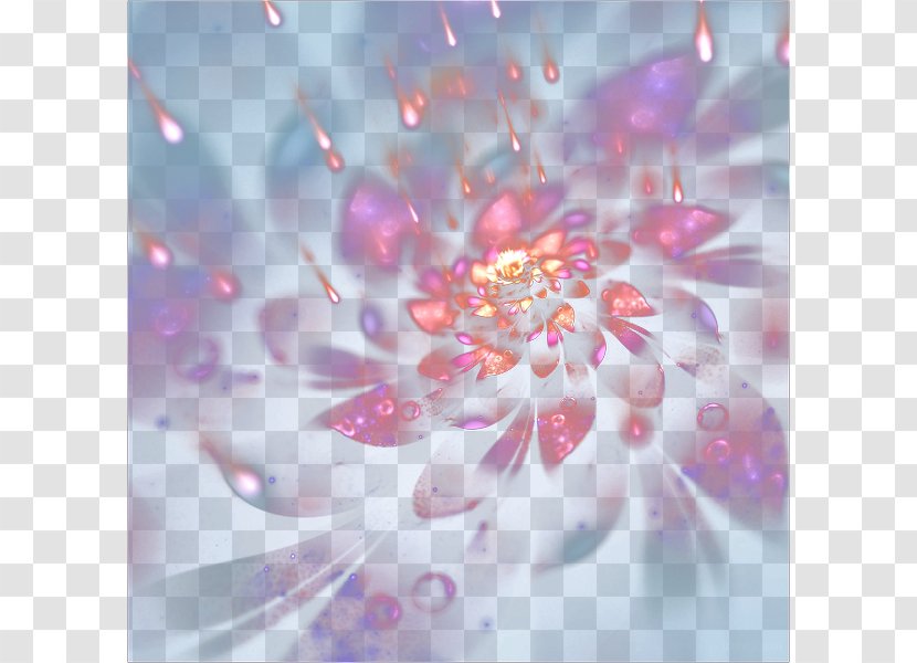Floral Design Flower Petal Wallpaper - Light Effect Transparent PNG