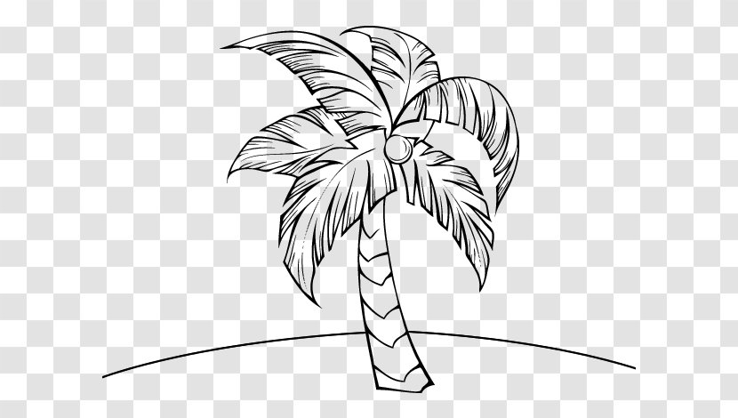 Coconut Tree Drawing - Plant - Stem Arecales Transparent PNG