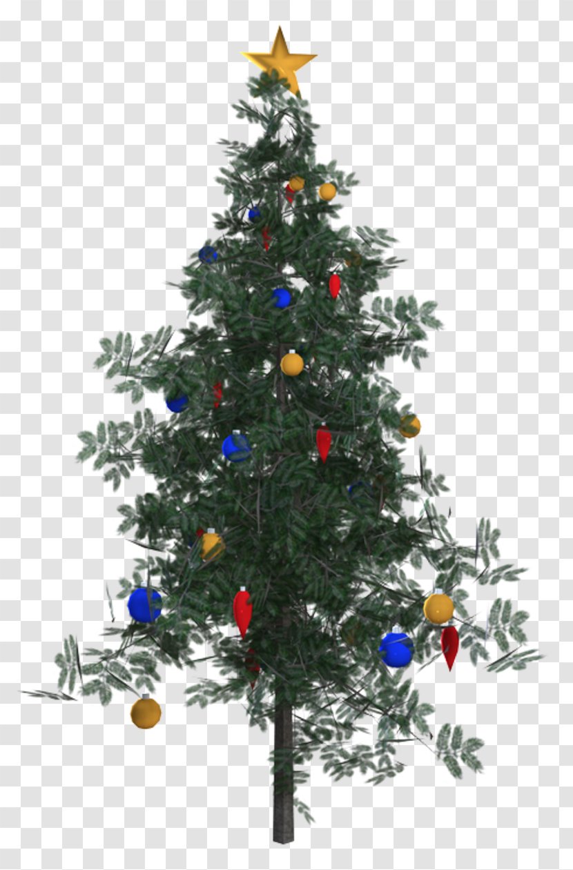 Christmas Tree Ornament Spruce Fir Pine Transparent PNG