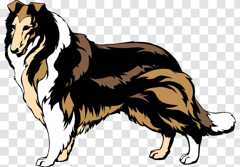 Rough Collie Border Smooth Bearded Clip Art - Shepherd And Sheep Transparent PNG