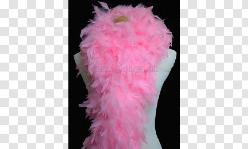 Feather Boa Pink Maotiao Infant Transparent PNG