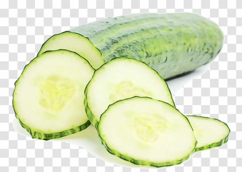 Winter Background - Cucumis - Melon Ingredient Transparent PNG