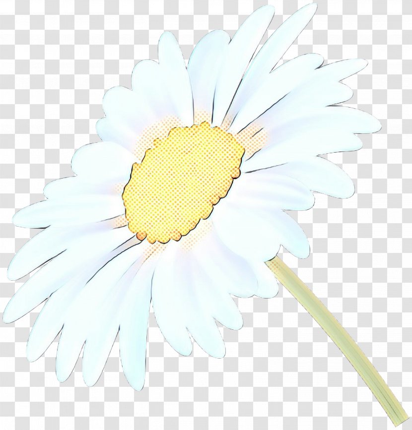 Oxeye Daisy Transvaal Dandelion Sunflower Plant Stem Transparent PNG