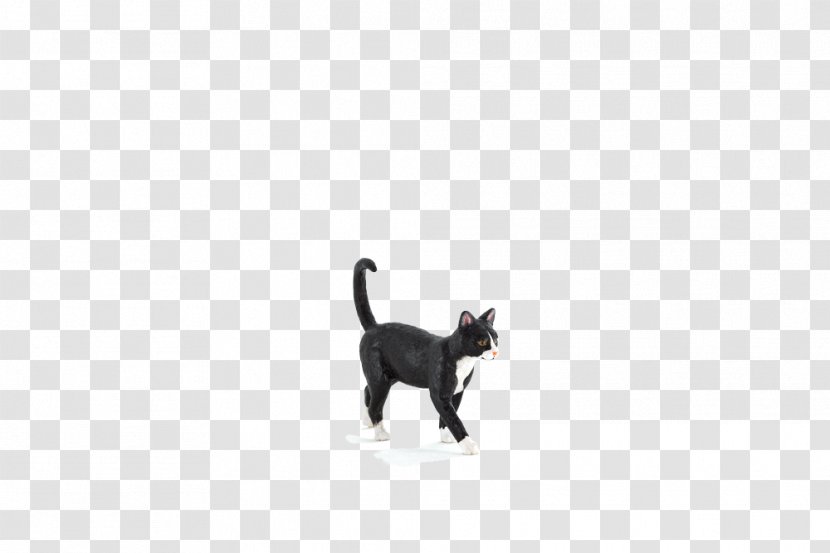 Black Cat Kitten Dog Leash - Mammal Transparent PNG