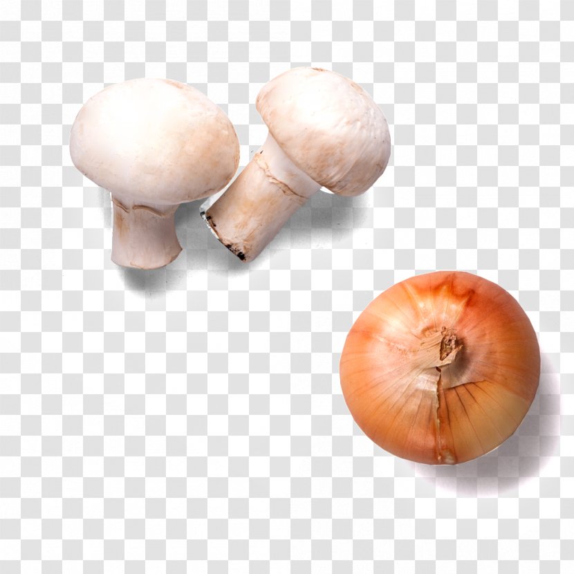 Hamburger Onion Mushroom Vegetable - Tomato - Mushrooms Transparent PNG