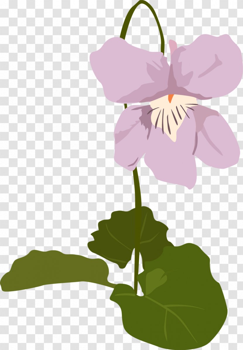 Violets Petal Clip Art Leaf Plant Stem - Painting Transparent PNG