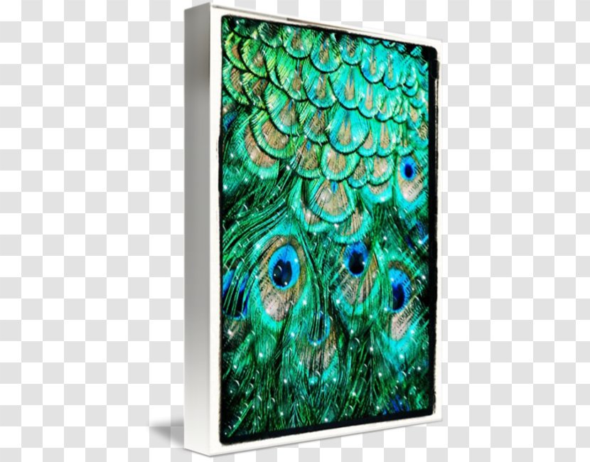Feather Pavo Italy Tail Bezel - Turquoise - Peacock Feathers Transparent PNG