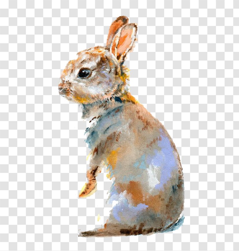 Lionhead Rabbit Domestic Bugs Bunny Watercolor Painting - Oil Paint Transparent PNG
