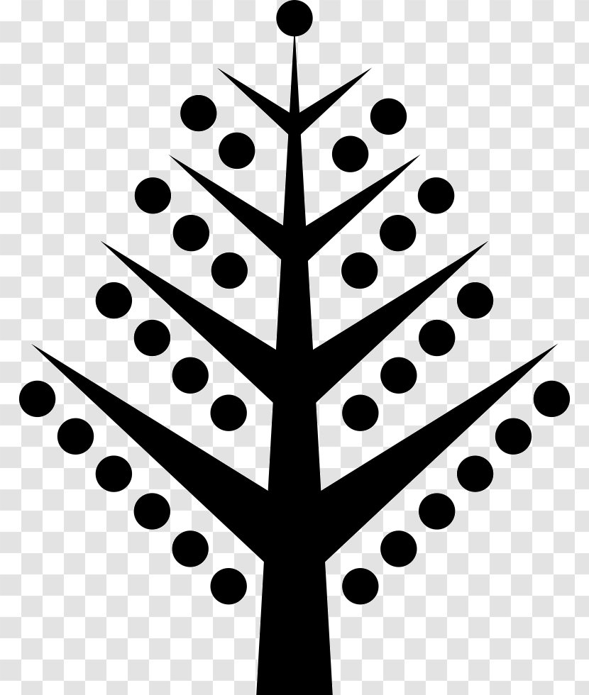 Download Clip Art Image - Monochrome Photography - Christmas Tree Branch Transparent PNG
