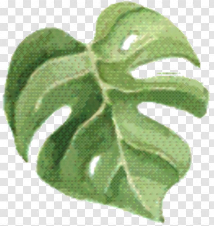Green Leaf Background - Plant - Pathology Symbol Transparent PNG