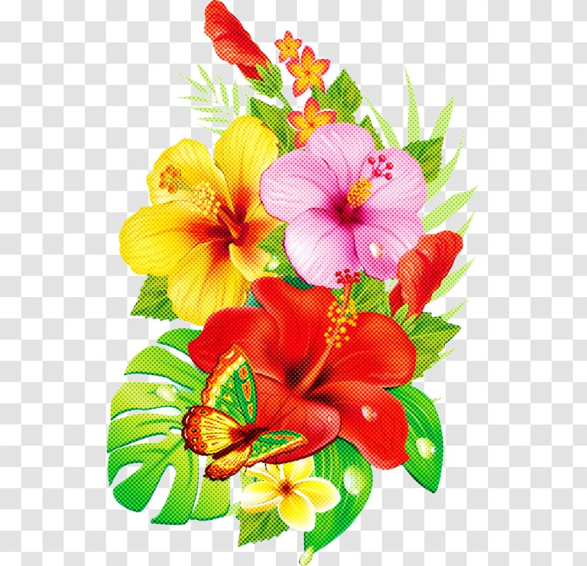 Flower Hawaiian Hibiscus Petal Plant - Cut Flowers Bouquet Transparent PNG