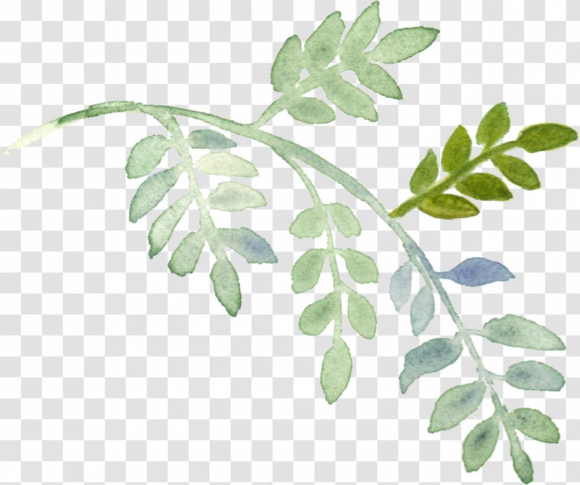 Plant Download Watercolor Painting - Button - Hand-painted Leaves Transparent PNG