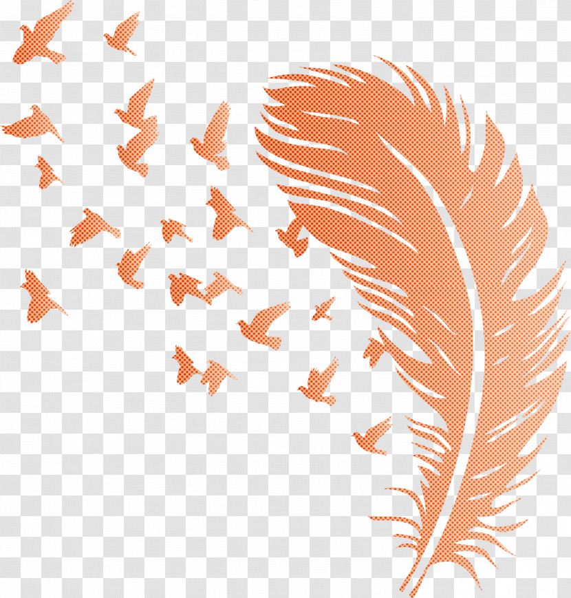 Bird Feather Transparent PNG