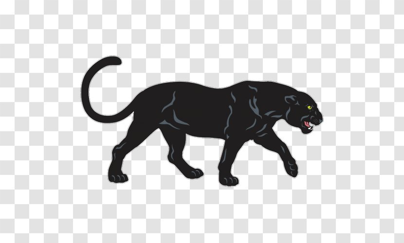 Panther Leopard Jaguar - Wildlife Transparent PNG