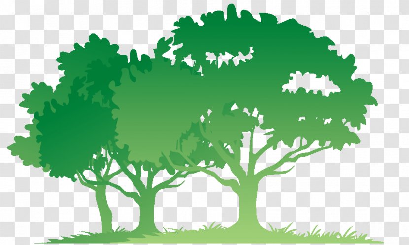 Bible Tree Child Donation Therapy - Nature - Forest Silhouette Transparent PNG