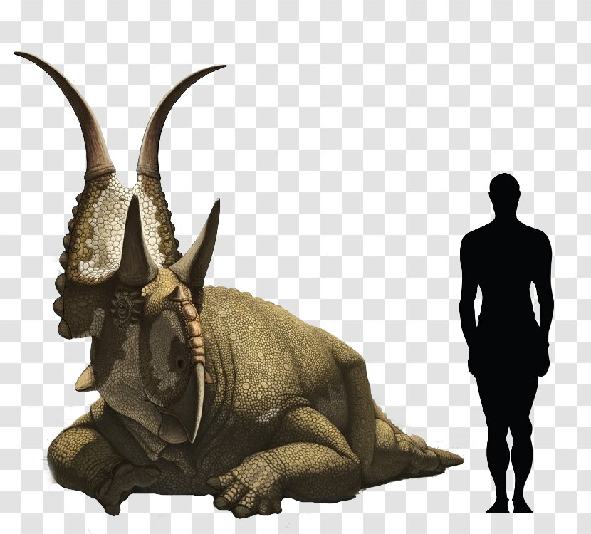 Diabloceratops Triceratops Avaceratops Chasmosaurus Scelidosaurus - Organism - Dinosaur Transparent PNG