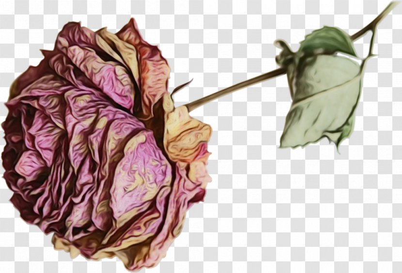 Flower Art Watercolor - Painting - Vegetable Bud Transparent PNG