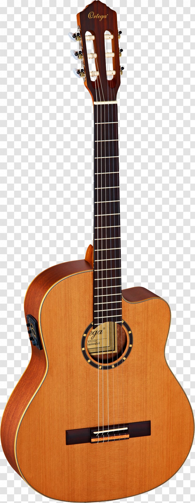 Taylor Guitars Steel-string Acoustic Guitar Classical Musical Instruments - Watercolor - Amancio Ortega Transparent PNG
