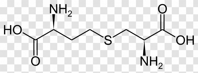 Cystathionine Cysteine Proteinogenic Amino Acid - Area - Brand Transparent PNG