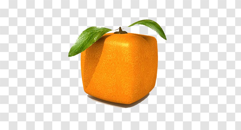 Orange Square Apple Fruit Wallpaper - Tangerine Transparent PNG