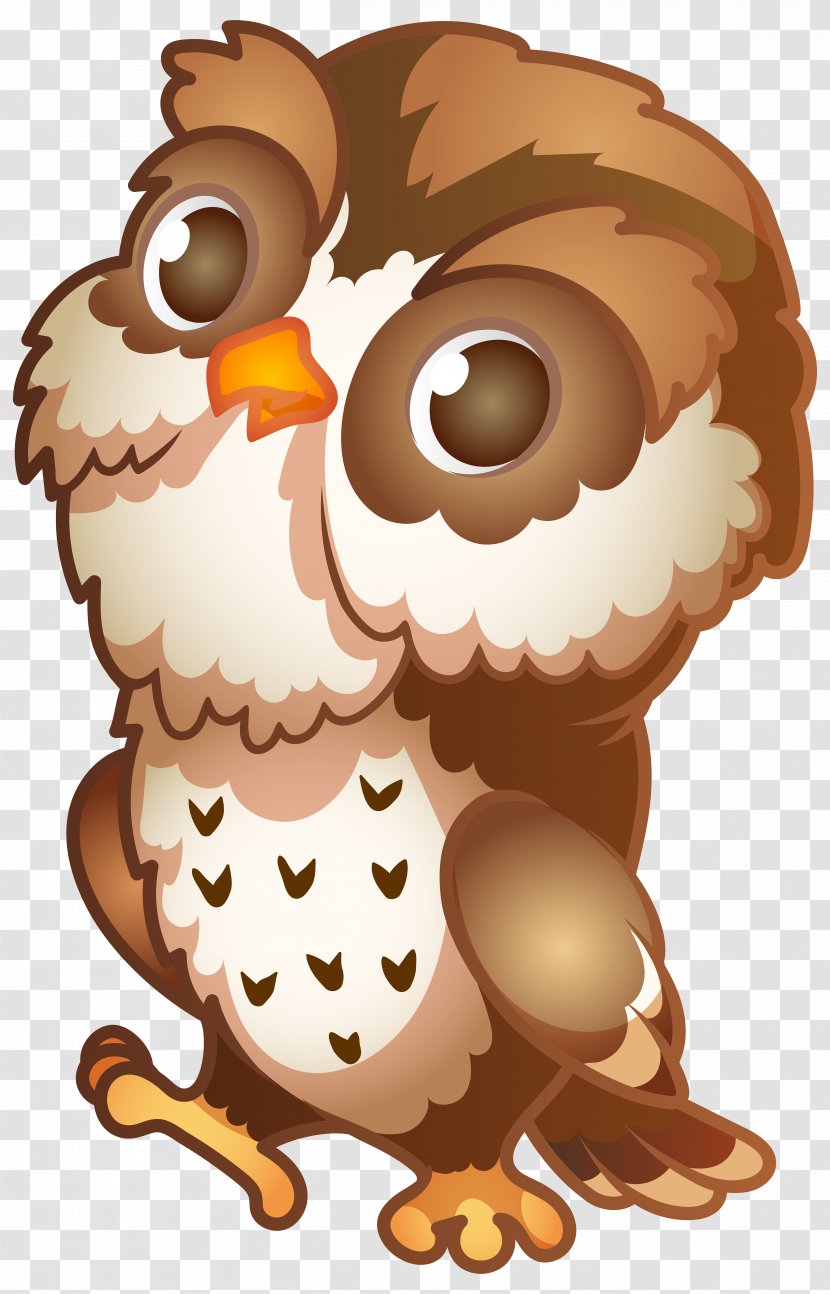 Owl Cartoon Clip Art - Drawing Transparent PNG