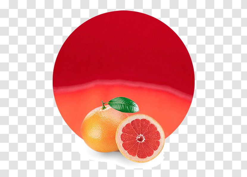 Blood Orange Grapefruit Juice Clementine - Lemon - Honeydew Transparent PNG
