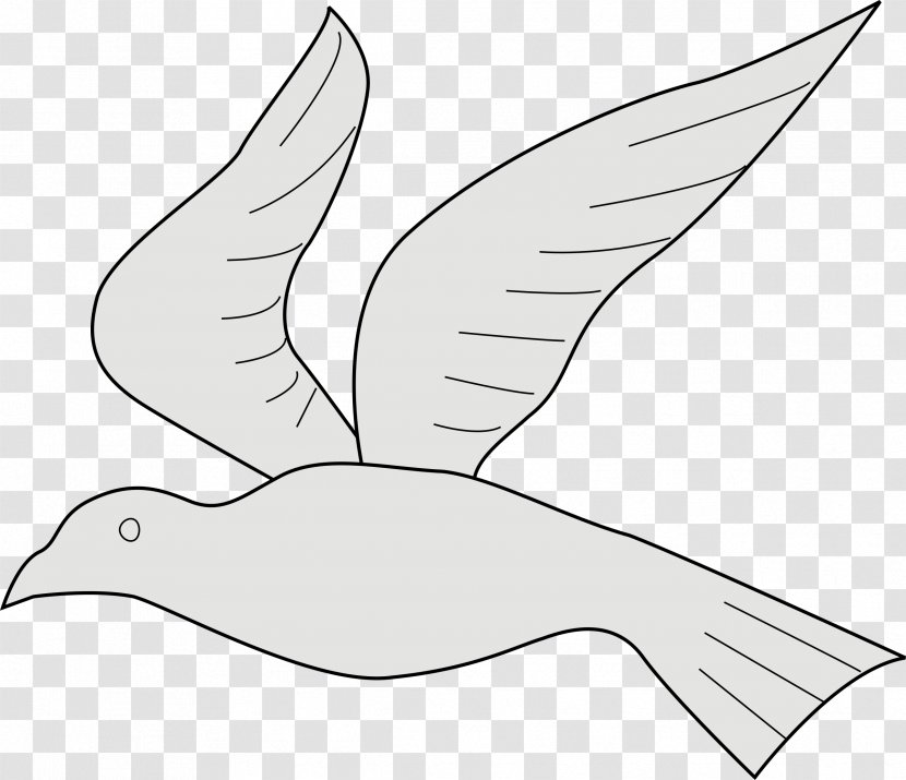 Water Bird Anatidae Vertebrate Goose - DOVES Transparent PNG