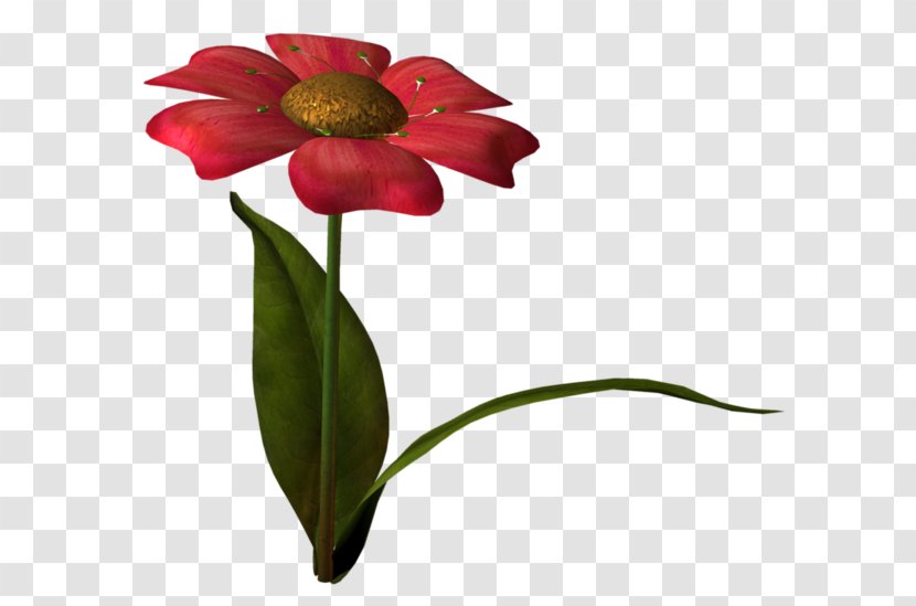 Petal Cut Flowers Drawing - Red - Flower Transparent PNG