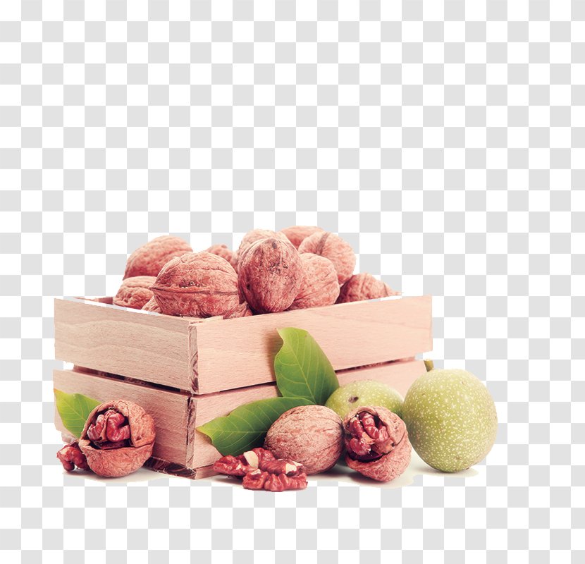 Pecan Walnut Juglans - Eating Transparent PNG