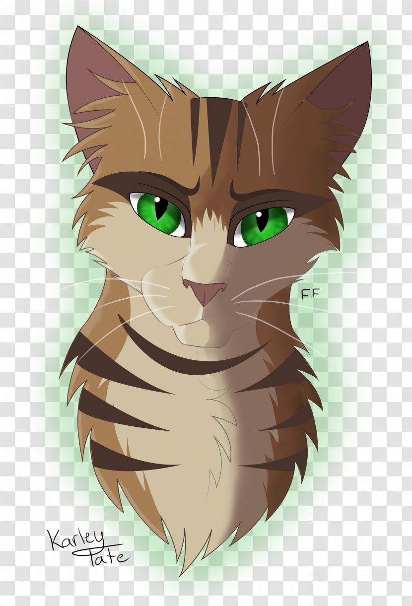 Kitten Whiskers Tabby Cat Domestic Short-haired - Short Haired Transparent PNG