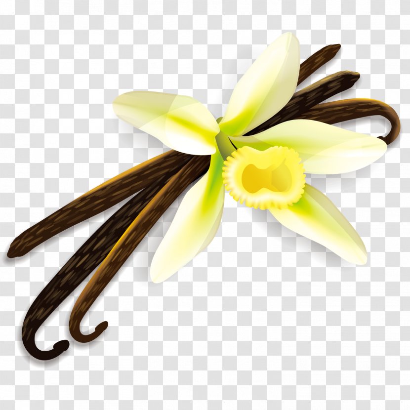 Cinnamon Roll Spice Herb Clip Art - Vector Day Lily Transparent PNG