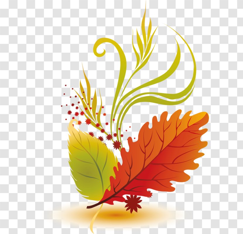 Autumn Leaf Color Leaves Clip Art - Cartoon Transparent PNG