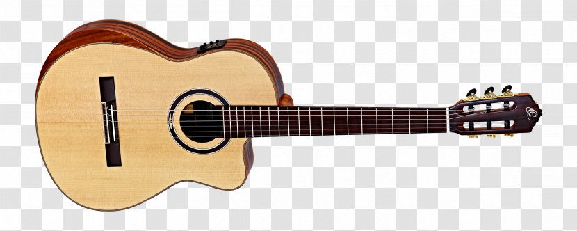Takamine Guitars Acoustic Guitar Classical Gig Bag - Tree Transparent PNG