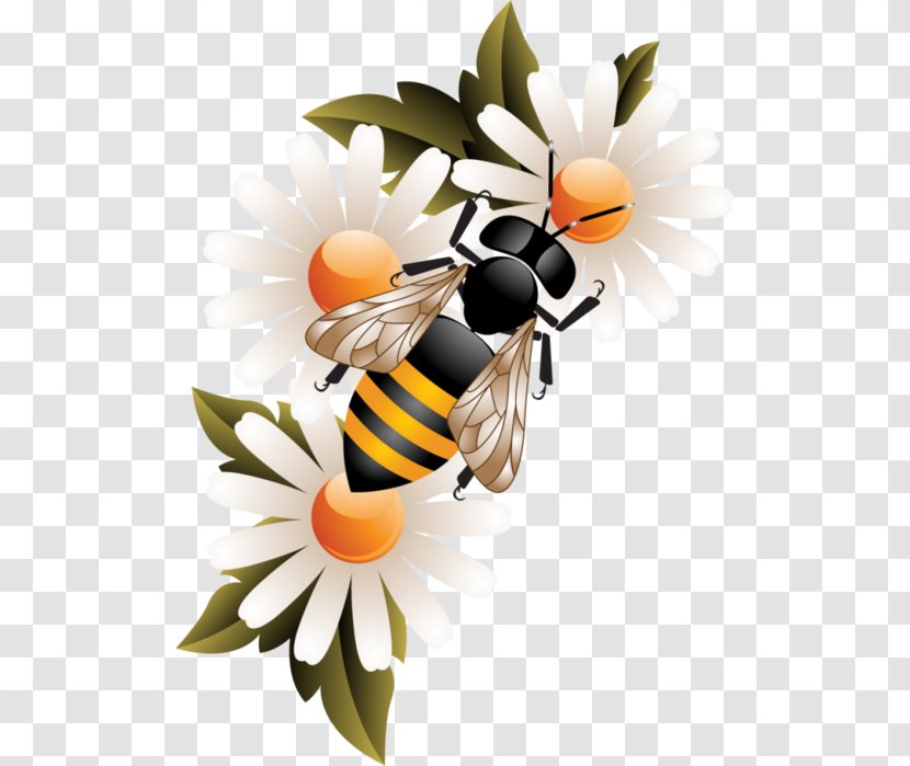 Worker Bee Honey Honeycomb - Swarming Transparent PNG