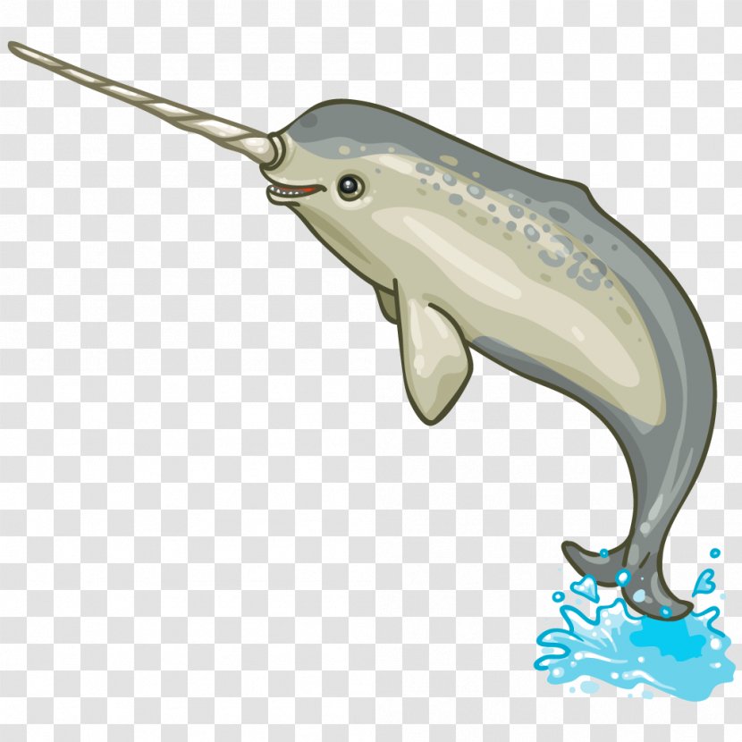 Narwhal Porpoise Dolphin Marine Mammal Cetacea Transparent PNG