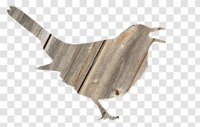 Bird Silhouette Wood Animal - Big Cat Transparent PNG