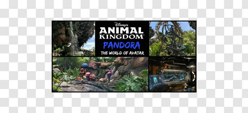 Pandora – The World Of Avatar Disney's Animal Kingdom Plant Community Advertising - Tree Transparent PNG