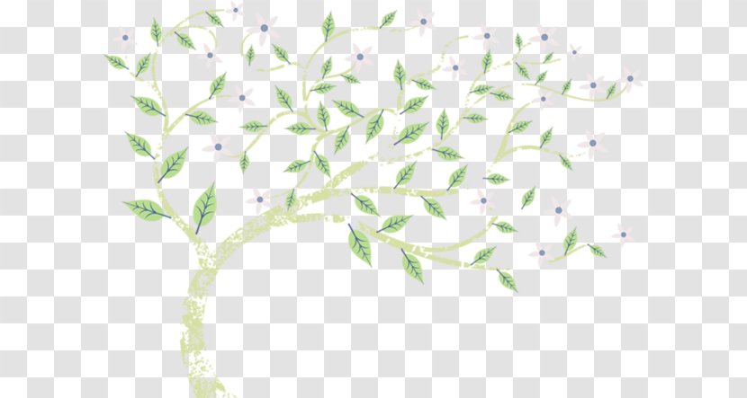 Wallpaper - Leaf - Organism Transparent PNG