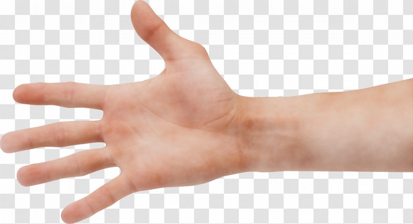 Finger Hand Skin Wrist Thumb - Nail - Sign Language Transparent PNG