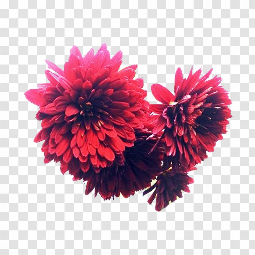 Chrysanthemum Inkstick Flower Bouquet Designer - A Picture Of Ink Flowers Transparent PNG