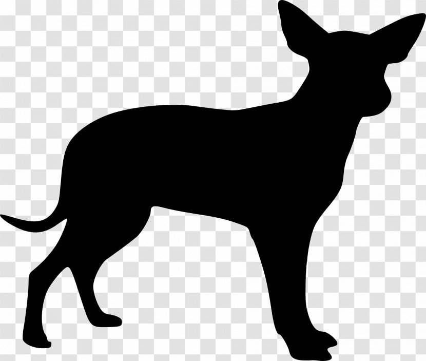 Mexican Hairless Dog Chihuahua Dingo Airedale Terrier Puppy - Carnivoran - Husky Silhouette Transparent PNG