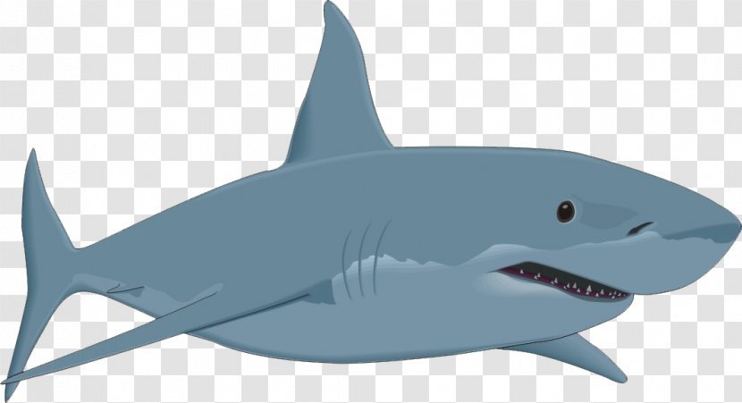 Bull Shark Clip Art - Marine Biology - Shark,shark Transparent PNG