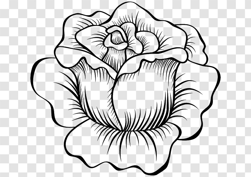 Floral Design /m/02csf Drawing Cut Flowers Clip Art - Petal - Plant Stem Transparent PNG