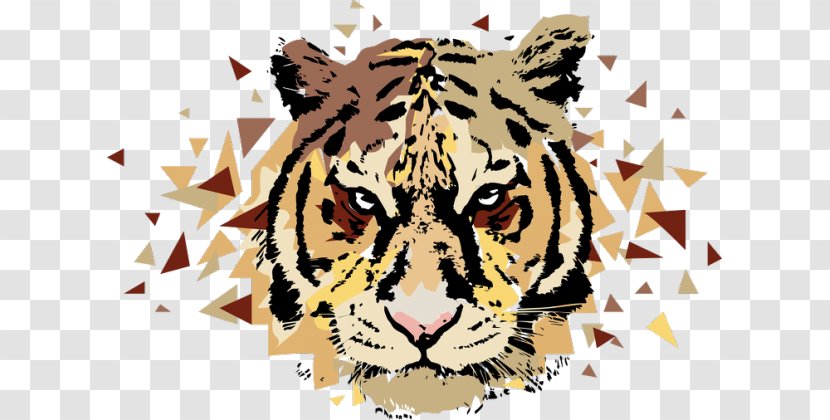 Tiger Leopard Jaguar Keine Gefahr Phonograph Record - Terrestrial Animal - Key Watercolor Transparent PNG